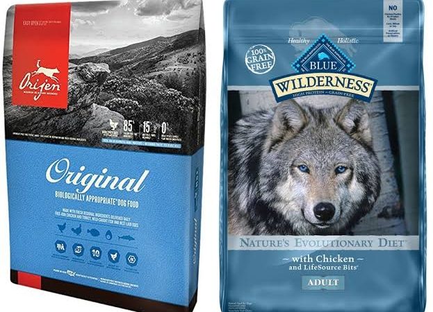 Top 10 Dog Foods Recommended By Vets