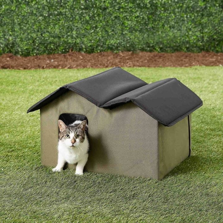 outdoor-cat-shelter