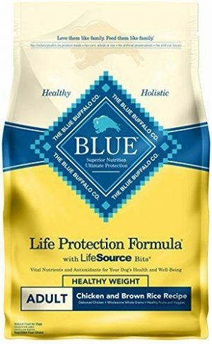 Blue Buffalo Adult Dog Food (Life Protection)