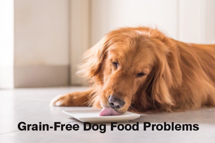 Grain-free-dog-food-problems